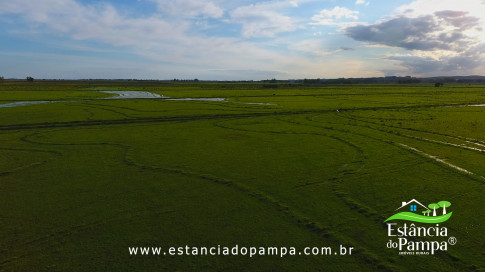 DOS EÓLICOS VIRA P FAZENDA_Moment.00_06_47_24.Quadro281_4ccd4e9ca45a049e7bc24ce800ab1c0789fcd1d9.jpg